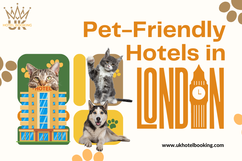 Unveiling the Top Pet-Friendly Hotels in London for Cat Lovers